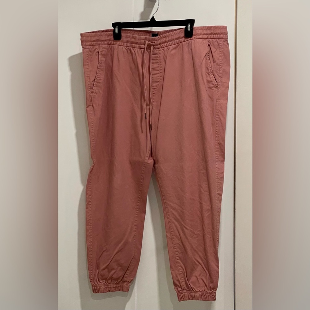 Gap Pink Jogger Pant XXL (Plus)